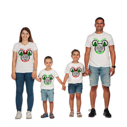 semeini-teniski-family-disney-christmas-cooltee
